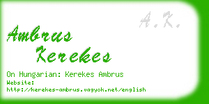 ambrus kerekes business card